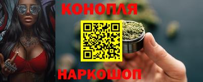 гидра Кимры