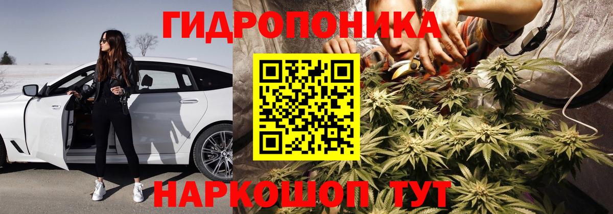 Конопля гибрид Красноуфимск